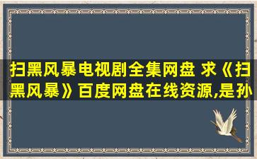 扫黑风暴电视剧全集网盘 求《扫黑风暴》百度网盘在线资源,是孙红雷主演的